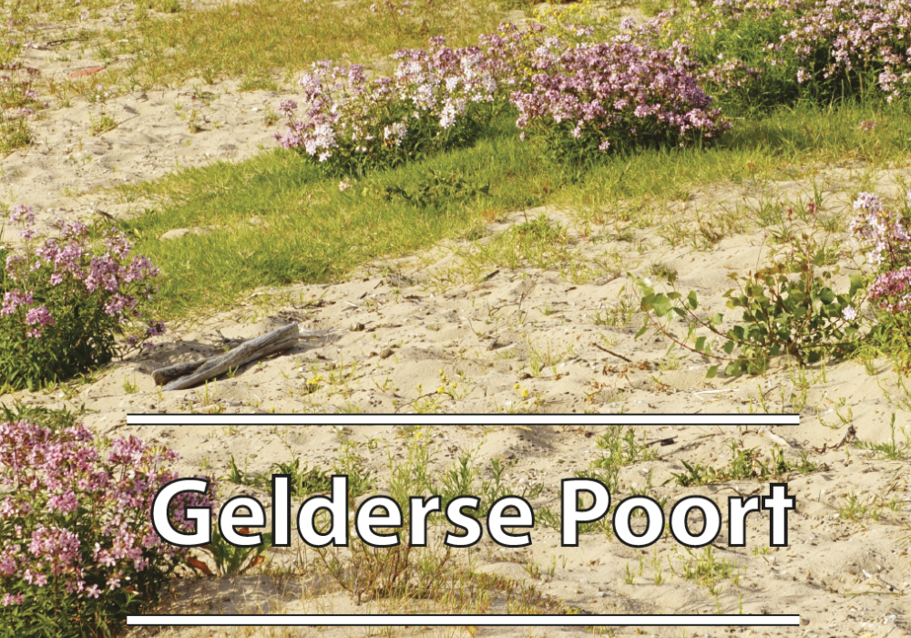 Wandel en fietskaart Gelderse Poort