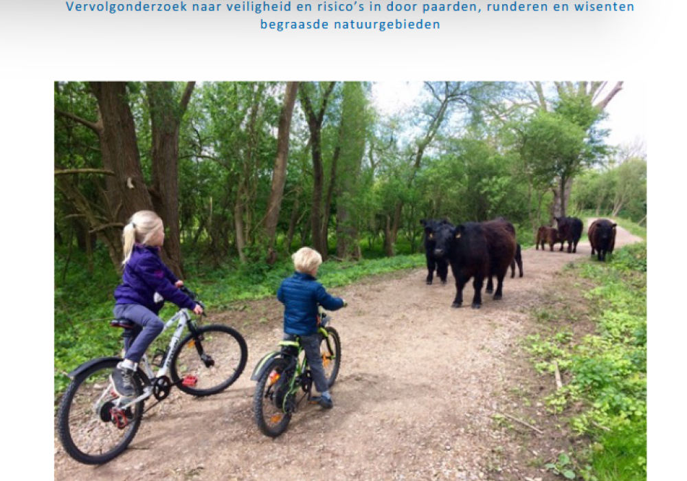 Grote grazers, aanvaardbare risico's