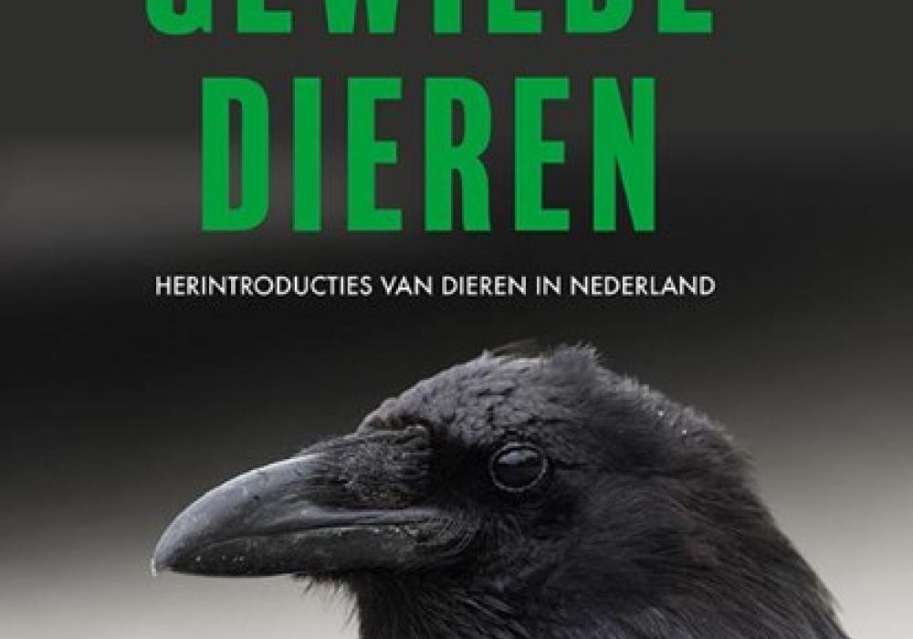 Gewilde dieren