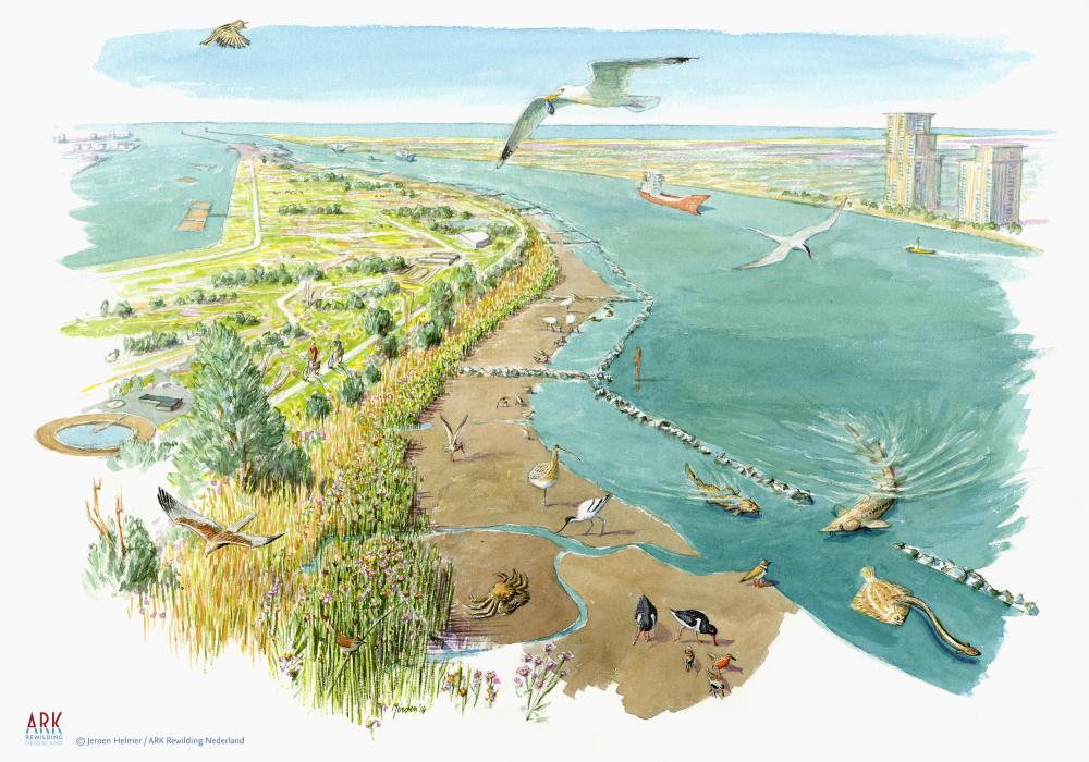 illustratie toekomstbeeld De Groene poort