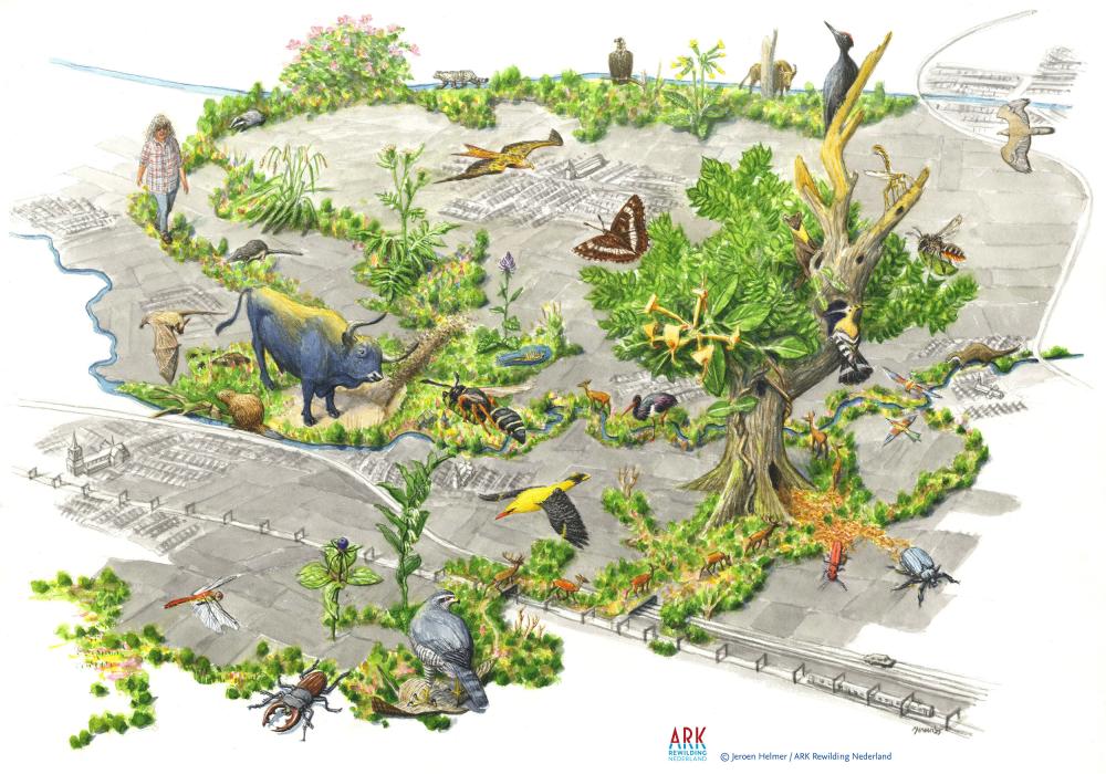 illustratie toekomstbeeld leembossenlint