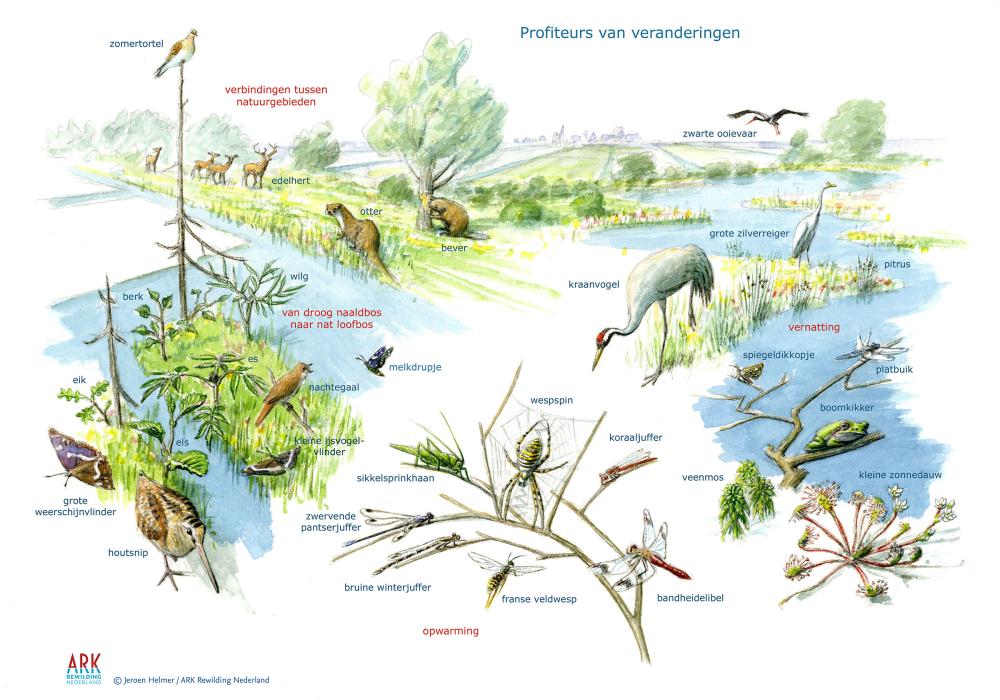 Zoekkaart profiteurs van veranderingen