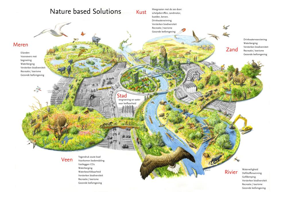 Nature-based solutions Jeroen Helmer ARK.jpg