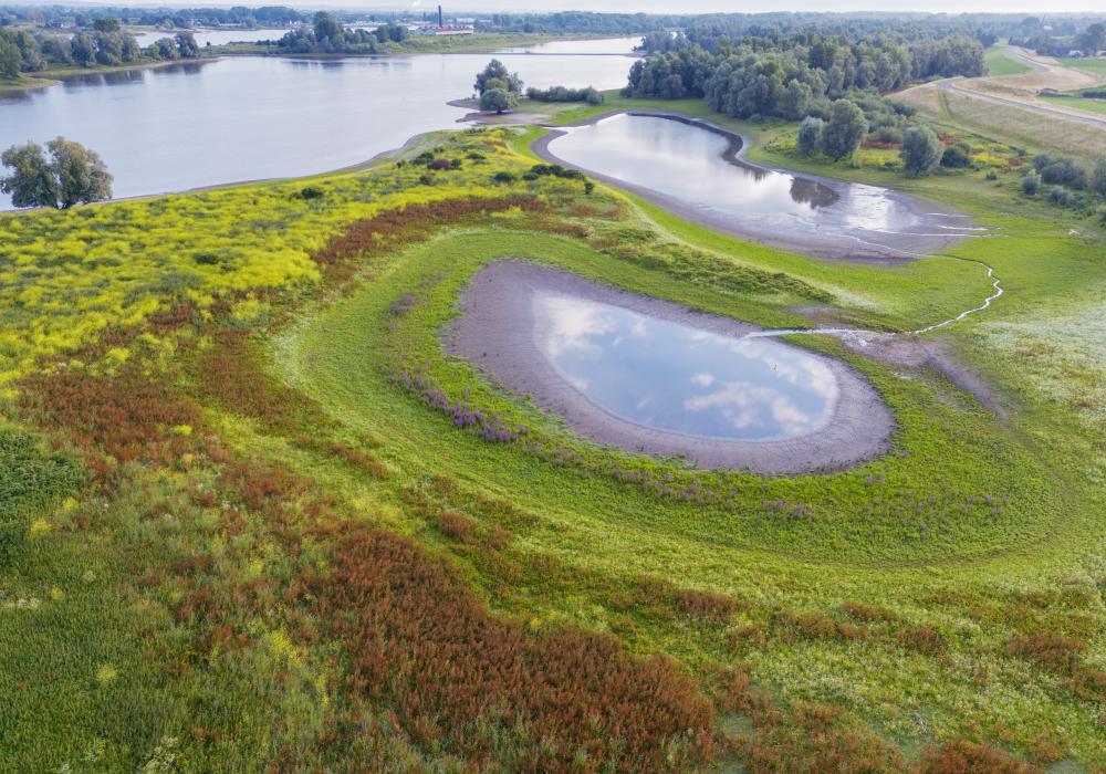 Inspiratiemagazine functionerende ecosystemen herstellen